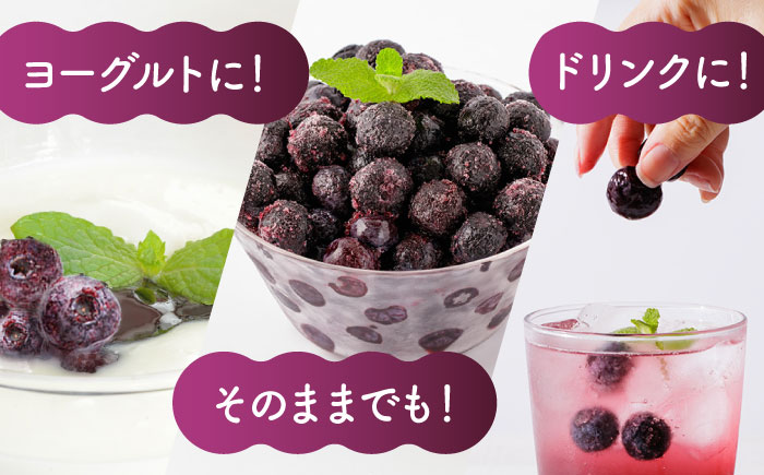 【6回定期便】大粒 冷凍ブルーベリー 約2000g（約500g×4pc） 【すみれファーム】 [ZEP017]