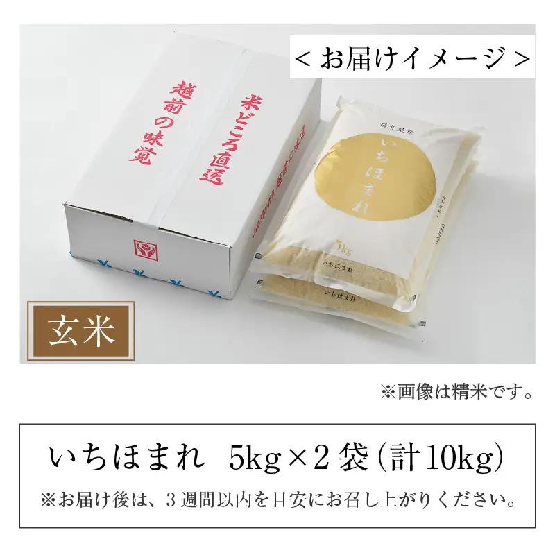 【令和7年産】いちほまれ 玄米 5kg×2袋（計10kg）《新鮮な高品質米をお届け！》／ 福井県産 ブランド米 ご飯 [aw064-b013]