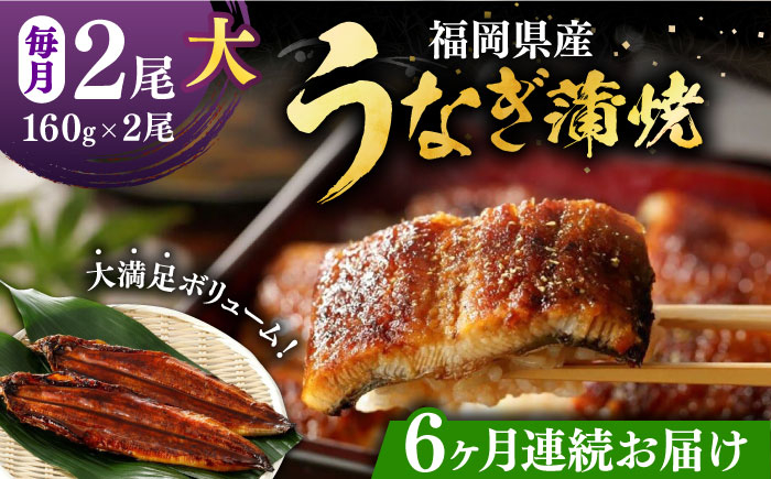 
            【全6回定期便】福岡県産 うなぎ 蒲焼 大2尾　合計 320 g（1尾あたり 160g以上）《豊前市》【福岡養鰻】 国産 うなぎ 大 [VAD012]
          