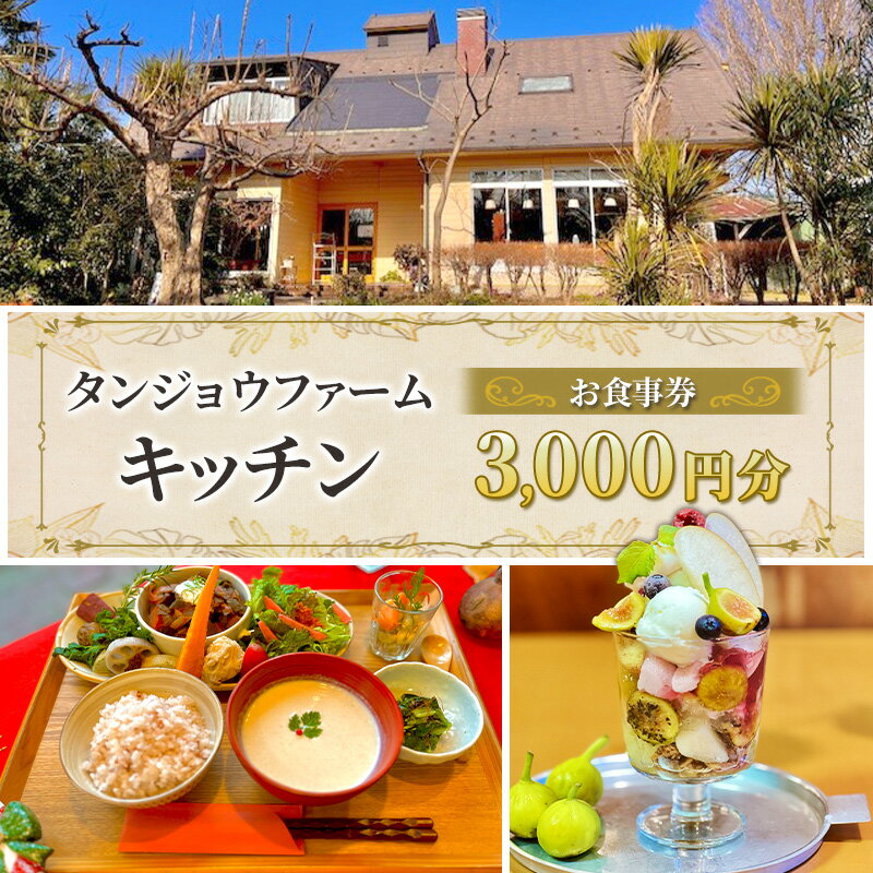 【ふるさと納税】タンジョウファームキッチン お食事券 3000円分 食事券 チケット ランチ 旬の野菜 千葉市 千葉県