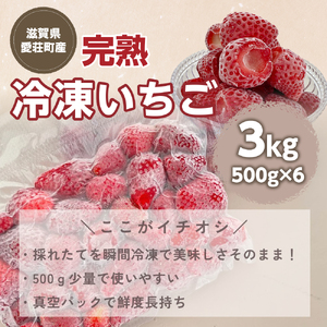 【採れたて瞬間冷凍！】滋賀県愛荘町産　冷凍いちご 3kg（500g×6）品種ミックス BJ06