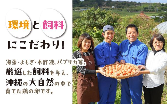 卵の黄身が掴めるほどの新鮮さ 美ら卵養鶏場の卵 40個【順次配送】 40個【順次配送】