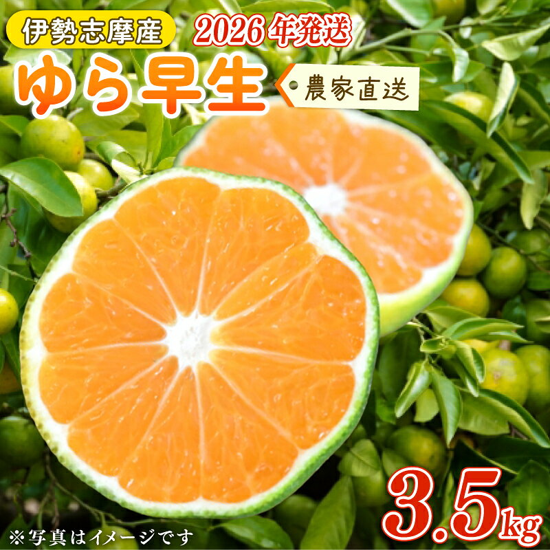 【ふるさと納税】 先行受付 2026年10月中旬～発送 ゆら早生 みかん 3.5kg 期間限定 ミカン 蜜柑 温州みかん 柑橘 mikan フルーツ くだもの 果物 かんきつ 食品 農家直送 伊勢志摩産 三重県 南伊勢町 土実樹農園 1万円台 2万円以下 10000円台 20000円以下 一万円台 二万円以下