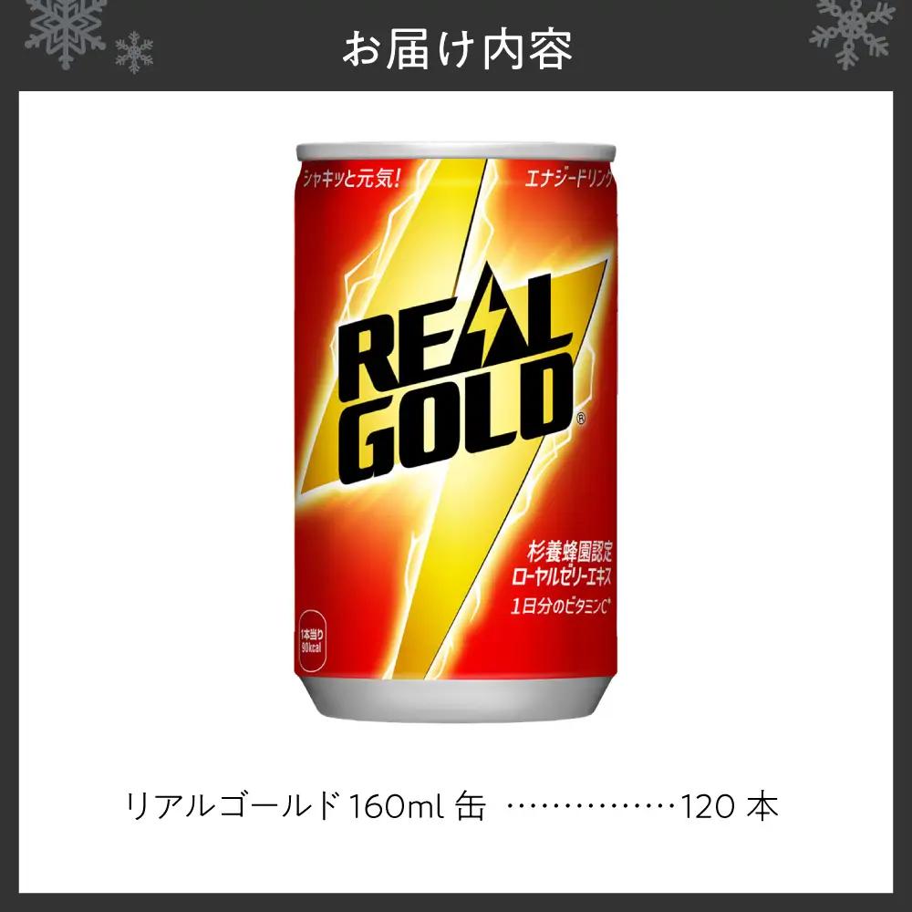リアルゴールド 160ml缶×120本 【札幌市の魅力】 エナジードリンク  炭酸飲料