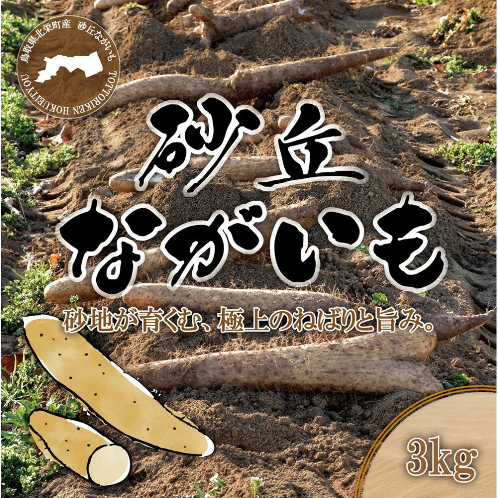 【ふるさと納税】1114.砂丘ながいも3kg | 長芋 ながいも 野菜 新鮮 とろろ 鳥取県 北栄町 おすすめ 人気