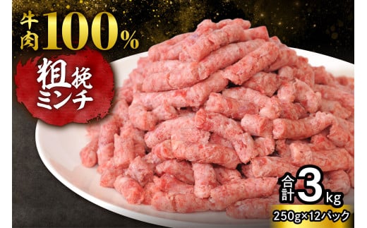 【250g×12パック 計3kg】ハンバーグに！メンチカツに！用途いろいろ 粗挽き！100％ 牛肉 ミンチ！北海道産牛ひき肉！_S006-0054