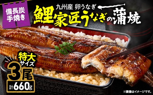 1748 【特大】備長炭手焼 うなぎの蒲焼 3尾 計660g　KN029-009