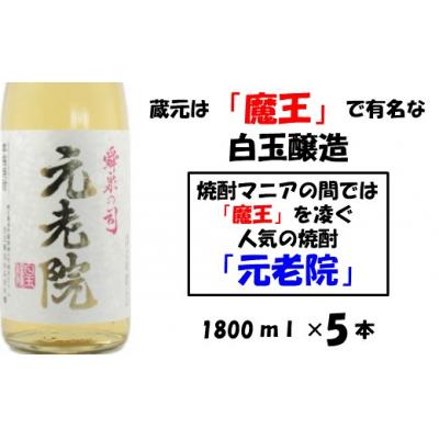 ふるさと納税 錦江町 【魔王を凌ぐ人気】白玉醸造の元老院5本セット(No.4018-1)