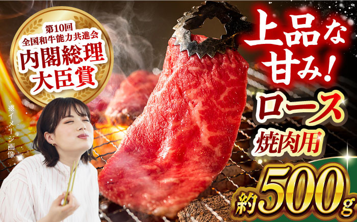 
                  長崎和牛 ロース 焼肉用 約500g 長崎県/長崎県農協直販 [42ZZAA163]  肉 牛 和牛 ロース 焼肉 焼き肉 西海市 長崎 九州
                