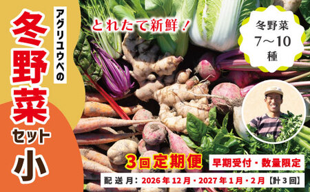 【 3回定期便 早期受付 数量限定 】アグリユウベの冬野菜セット (小) とれたて 新鮮 農家直送 国産 野菜 野菜便 やさい 野菜 冬野菜 国産 旬 高知県 四万十市 四万十 しまんと【配送月：2026年12月・2027年1月・2月】26-0029
