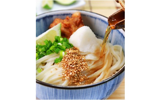 【定期便】本場純生讃岐うどん 10人前つゆ付 年３回発送（1月・5月・9月）【H-47】