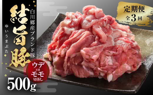 《定期便》全3回 結旨豚 ウデ又はモモ 切り落とし 500g 冷凍真空パック | 肉 お肉 豚肉 国産 食べ比べ セット 白川郷 岐阜県 白川村 ブランド豚 人気 おすすめ ギフト 飛騨高山ミート 15000円 [MS102]