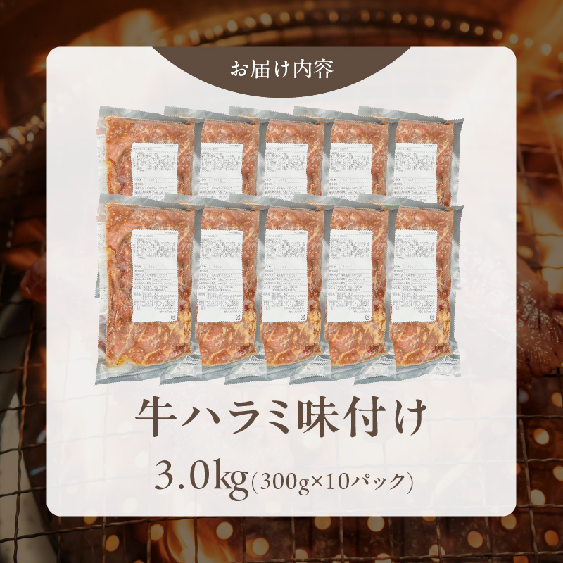 【食肉総合卸 丸正】牛ハラミ味付け 3.0kg