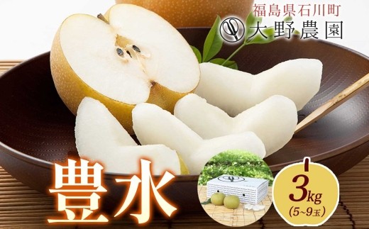 
                  梨3kg 豊水 5～9玉 ｜ なし 旬 果物 フルーツ 甘い シャキシャキ 産地直送 新鮮 お取り寄せ 大野農園 福島県 石川町【19006BA0101】
                