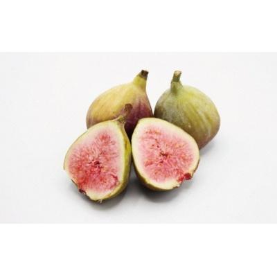 ふるさと納税 宗像市 プレミアムいちじく「とよみつひめ」冷凍いちじく 大容量2kg【JAほたるの里】_HA0279