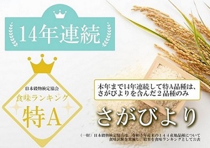 CID69_【みやきなでしこ】応援米【６回定期便】【無洗米】さがびより６kg（３kg×２袋） 【五つ星お米マイスター厳選！】