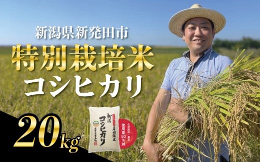 【12月発送】 新潟県産 特別栽培米 コシヒカリ 20kg （5kg×4袋） 令和7年産 こしひかり 特栽米 米 新米 月岡 温泉 お米 こめ ご飯 ごはん おいしい 新潟米 新潟 新潟県 米 新発田産 新潟産 朝食 昼食 夕飯 炊きたて 精米 watasho006_202512
