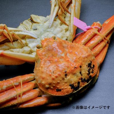 ふるさと納税 京丹後市 【急速冷凍　松葉ガニ】魚政BLACK 茹でズワイガニ小サイズ 1杯【姿のまま】カニ酢付き |  | 02