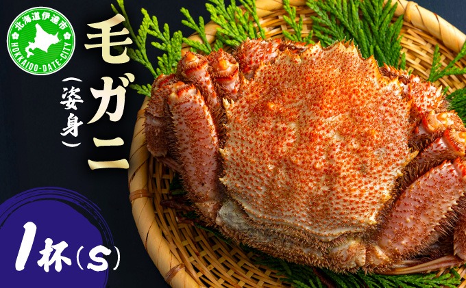 毛ガニ（姿身）Sサイズ 1尾 ogm-013