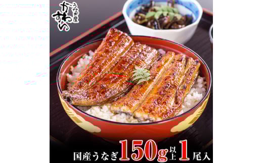 国産うなぎ蒲焼き大サイズ150ｇ 1本セット(A1002-1)
