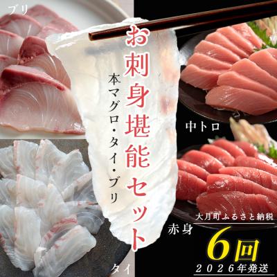 ふるさと納税 大月町 【定期便 6回】 本マグロ タイ ブリ 刺身 本まぐろ 真鯛 ぶり 堪能セット 産地直送 冷凍