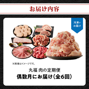 丸福 肉の定期便（6回／偶数月）｜佐賀牛 牛肉 定期便【Z117】