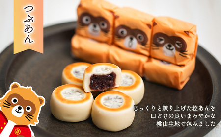 西条銘菓「たぬきまんじゅう」3種アソート18個入　つぶあん いちご 抹茶 和菓子