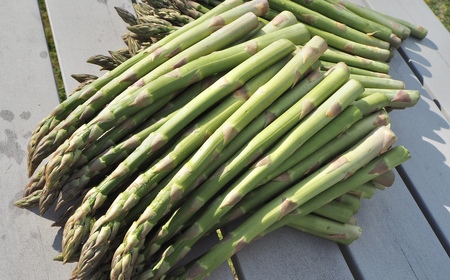 鹿追産アスパラ（1kg）L 【 ふるさと納税 人気 おすすめ ランキング アスパラ アスパラガス あすぱら 野菜 旬 北海道産 北海道 鹿追町 送料無料 】 SKA038