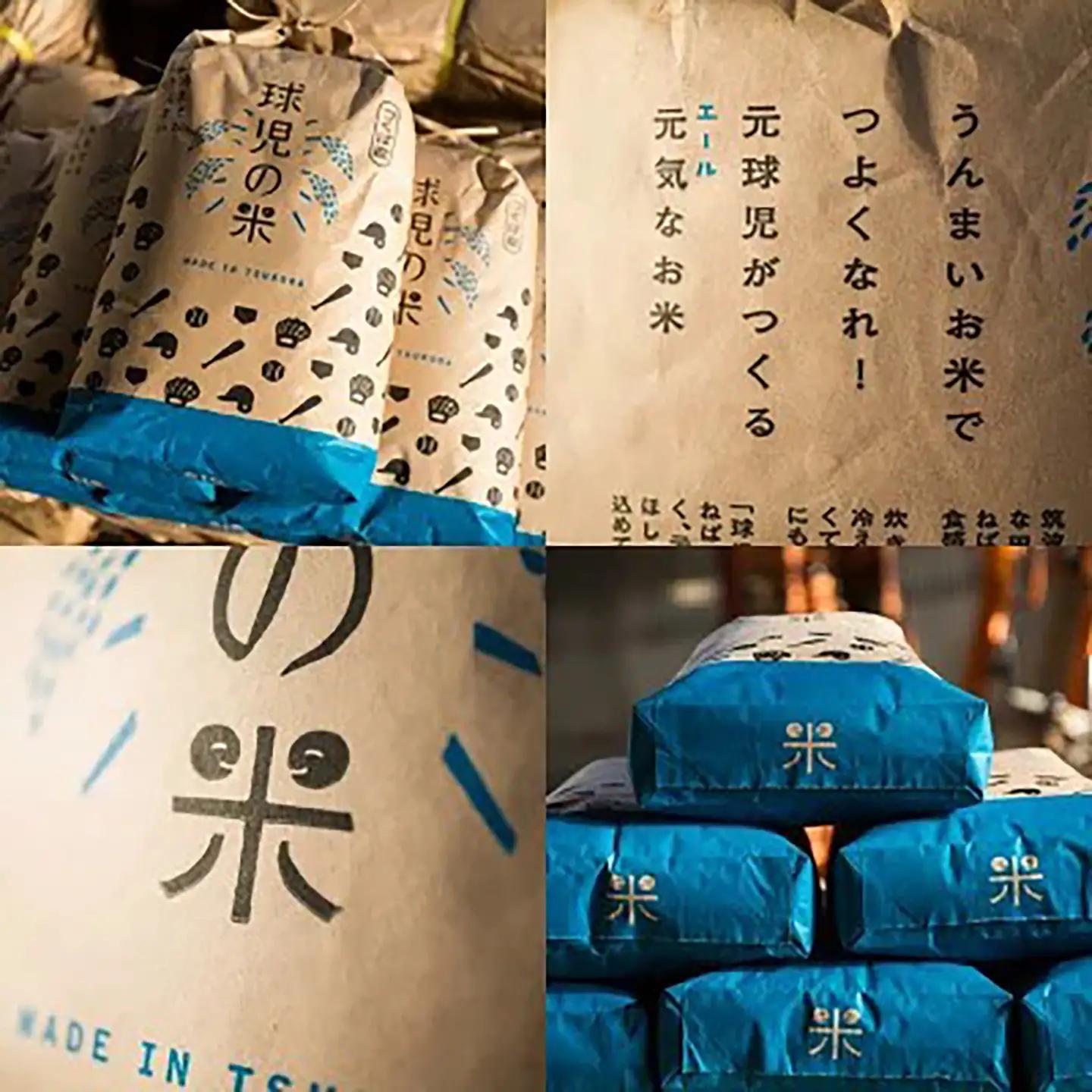 【玄米】令和7年産 ミルキークイーン玄米 5kg 米