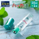 【ふるさと納税】ハッカ油ロールオンタイプ 10ml×1本 ハッカ油 ミント ロールオンタイプ 携帯用 ( マスク ハンカチ おしぼり等 爽快感 キャンプ ゴルフ 釣り アウトドア )