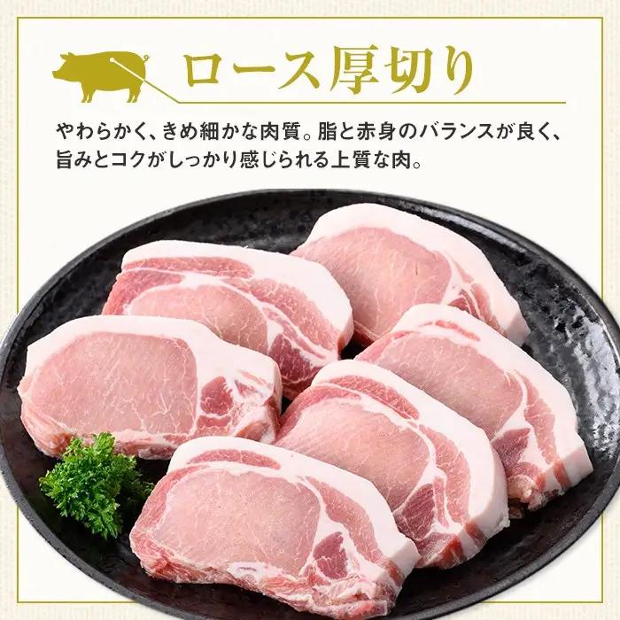 鹿児島県産 厚切り 豚ロースステーキ用 約1kg 豚肉 ポーク とんかつ【大将食品】A05051