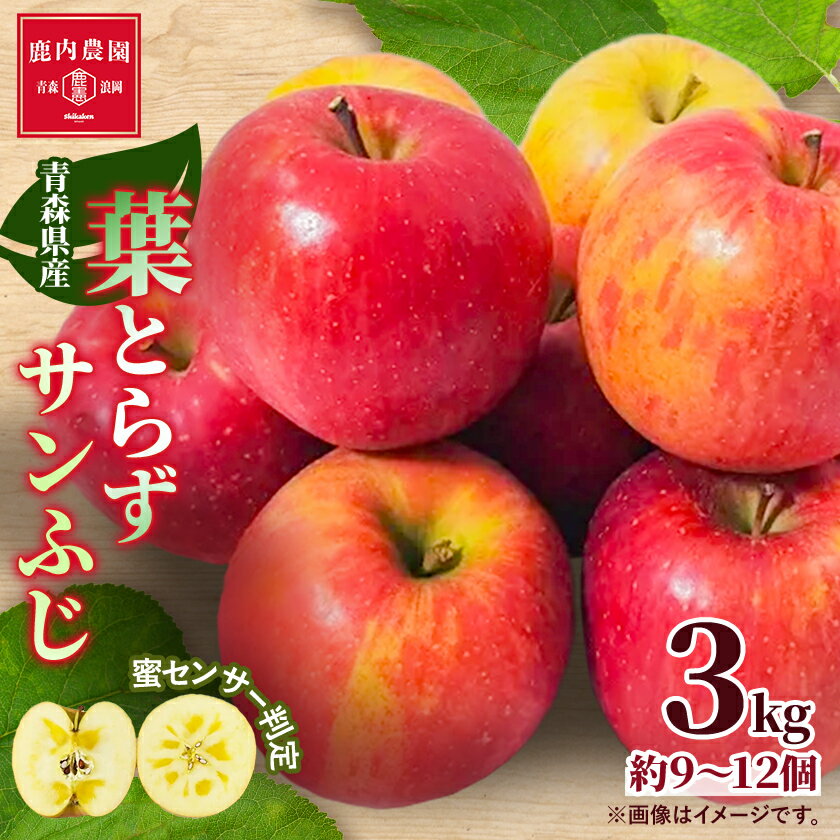 【ふるさと納税】りんご 葉取らずふじ 蜜入判定 3kg (約9～12個) _ りんご 林檎 リンゴ ふじ フジ 果物 くだもの フルーツ 葉取らず 青森県 産地直送 送料無料 おすすめ 人気 お取り寄せ 贈答 ギフト プレゼント 常温 3kg 【配送不可地域：離島】【1085335】