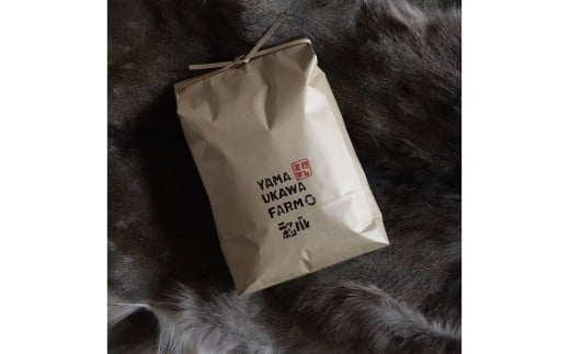 令和7年産　日本晴（玄米）2kg 米 玄米 2kg ふるさと納税 京都 丹後 数量限定 京都 京丹後 宇川地域 自然栽培のお米 栽培期間中農薬・化学肥料不使用 あっさりとした甘み 　YF00011