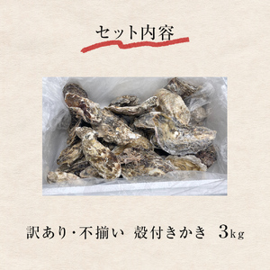 訳あり 冷凍 殻付き牡蠣 3kg 加熱用 三陸産 牡蠣