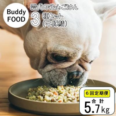 ふるさと納税 薩摩川内市 【6ヶ月定期便】獣医師オススメの愛犬の安心ごはん バディフード 3種セットC(牛豚鯖) FS-607