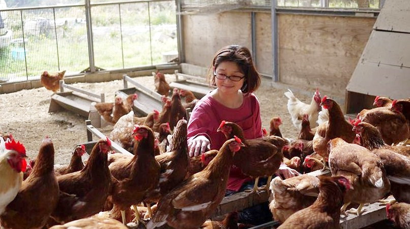 鶏も自由で幸せでなければとの想いから、鶏たちは平飼いで駆け回り、緑の葉っぱをたくさん食べ、手間と愛情をいっぱい受けて育ちます。