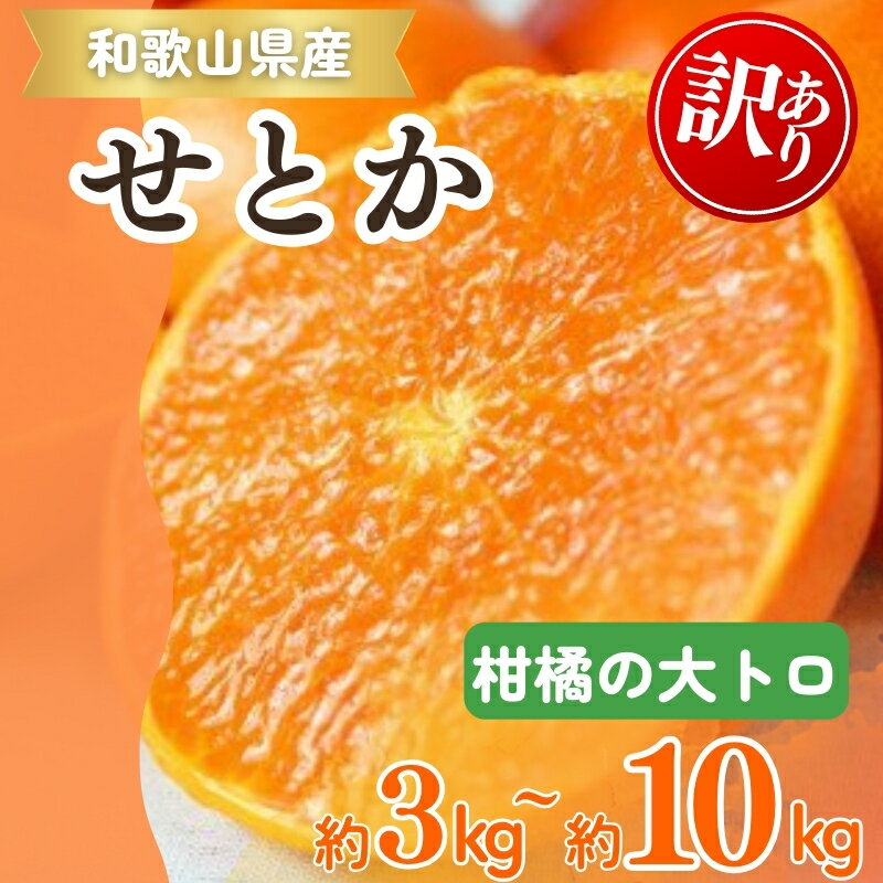 【ふるさと納税】 【ご家庭用訳あり】紀州和歌山産 せとか 約3kg 約5kg 【先行予約】【みかん】※2026年2月上旬頃〜2026年3月中旬頃発送予定(お届け日指定不可)