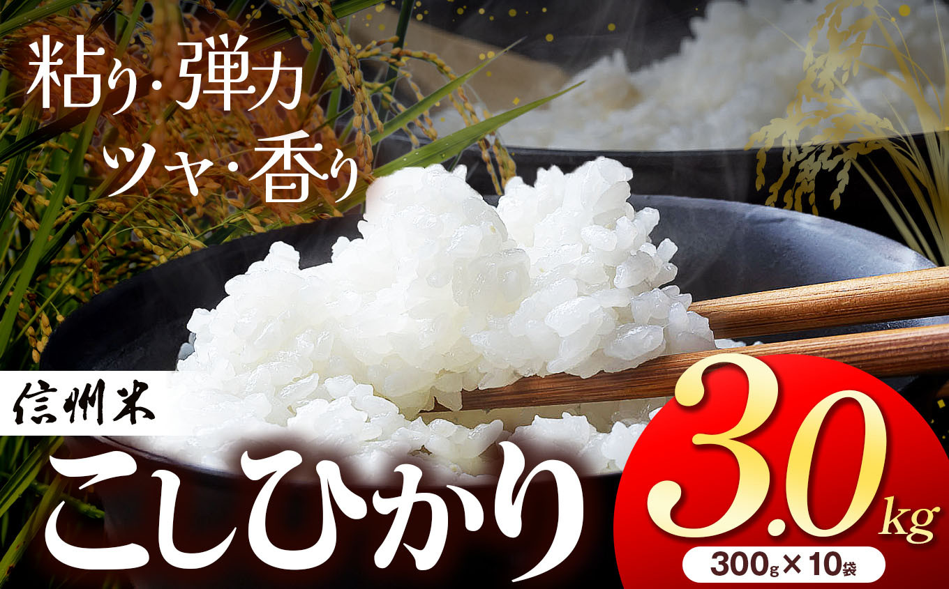 
            信州松本産 こしひかり 白米 3.0kg （2合300g×10袋 )   │信州 松本市 米 お米 コシヒカリ こしひかり アルプス 国産米 長野県産 おすすめ 白米 ふっくら 田畑 農家 ふるさと納税 松本市 美味しい
          