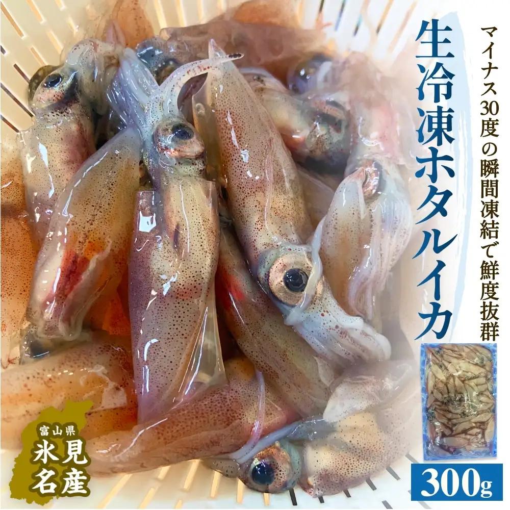 生冷凍ホタルイカ（凍眠） 300g 富山県 氷見市 ほたるいか しゃぶしゃぶ 冷凍　ホタルイカ