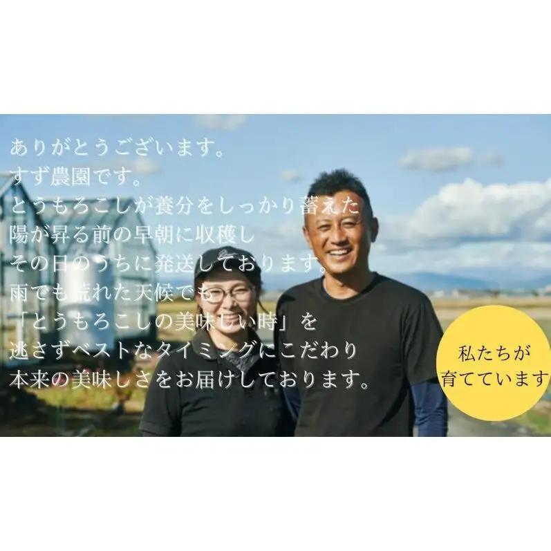 とうもろこし 先行予約 ドルチェ甘美 約5kg 朝採り とうもろこし