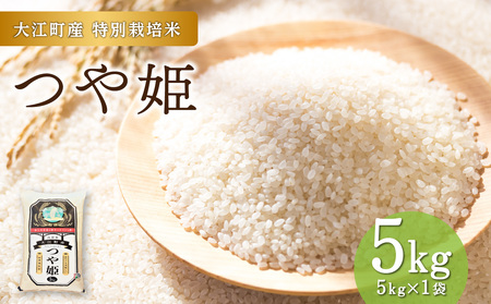 大江町産 つや姫 5kg【山形県産 特別栽培米】 001-087