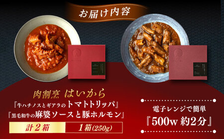 【ギフト箱無しでその分お得】肉割烹はいから『牛ハチノスとギアラのトマトトリッパ』『黒毛和牛の麻婆ソースと豚ホルモン』レトルト セット 牛肉 恵那市 / TWO-FACE JAPAN [AUFI019]