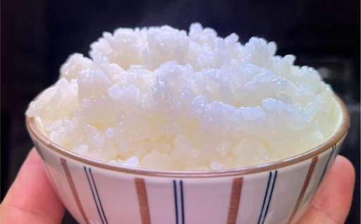 【令和7年産米】那須山麓ミネラル米　3kg ns130-002