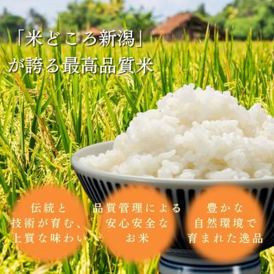 ふるさと納税 上越市 【令和8年12月以降配送】令和8年産新潟県上越市産コシヒカリ5kg 新米先行予約 |  | 01