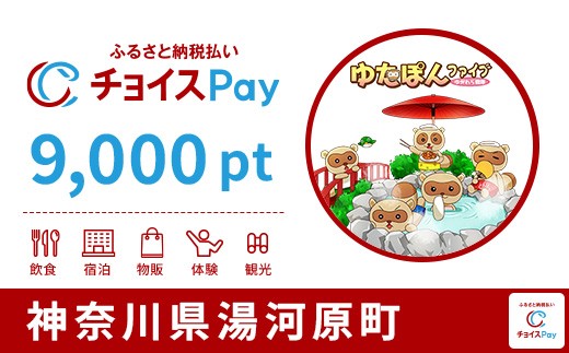 
                  湯河原町チョイスPay 9,000pt【会員限定のお礼の品】
                