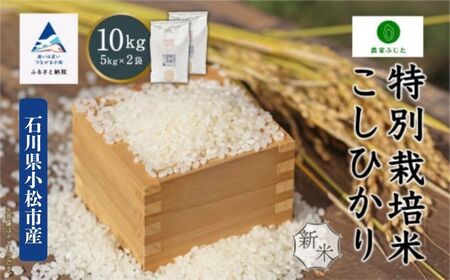 コシヒカリ 10kg 特別栽培米 コシヒカリ