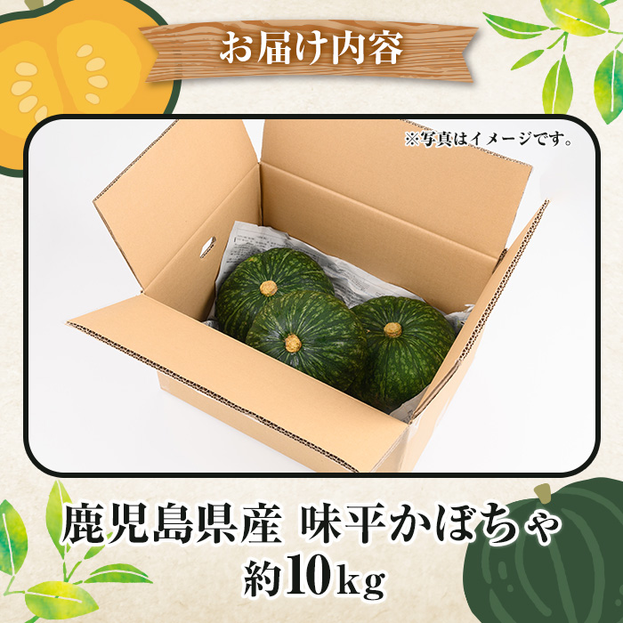 ＜2025年5月以降発送予定＞鹿児島県産 味平かぼちゃ(約10kg) 国産 野菜 かぼちゃ カボチャ 南瓜 煮物 天ぷら バーベキュー BBQ スイーツ お菓子【松永青果】a-28-9