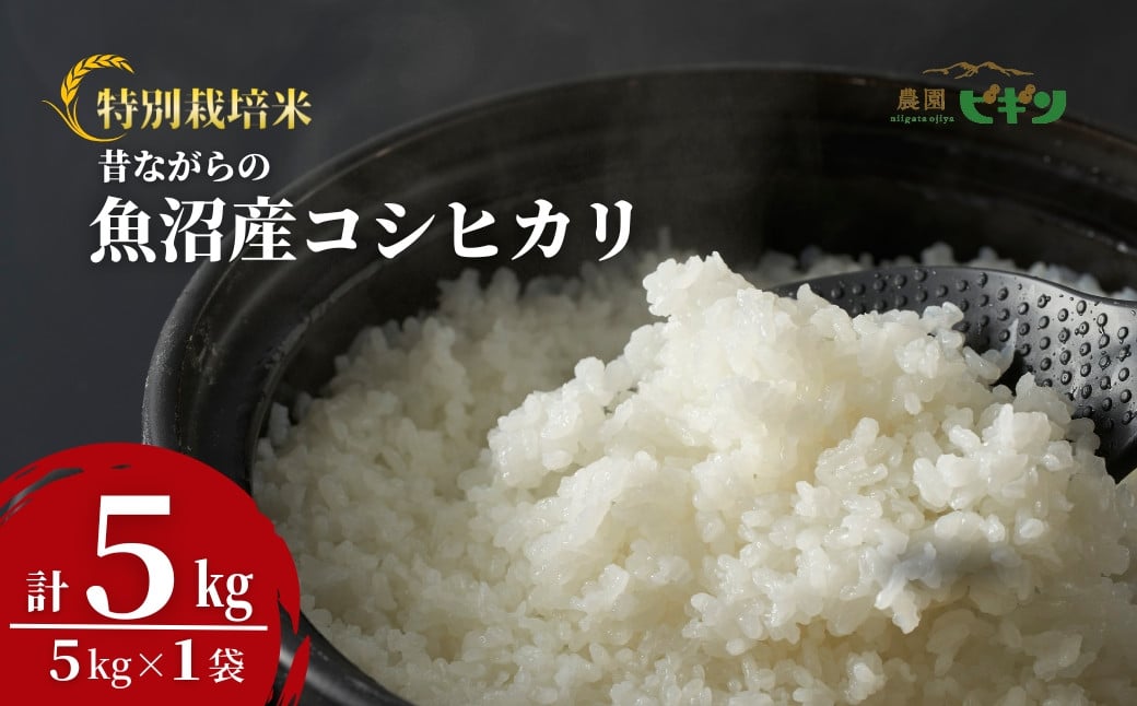 
                  【令和8年産 コシヒカリ 先行予約】 昔ながらの魚沼産コシヒカリ 精米5kg(5kg×1袋) 従来品種 コシヒカリ 農園ビギン | お米 米 おこめ こめ コメ こしひかり コシヒカリ 白米 精米 魚沼産 ブランド米 魚沼コシヒカリ 魚沼産こしひかり 新潟県産コシヒカリ 新潟県産こしひかり 新潟産コシヒカリ【0002-BN04-02】
                