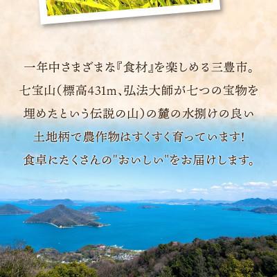 ふるさと納税 三豊市 ふるさと納税　白米【新米コシヒカリ15.0kg】三豊市産 |  | 02
