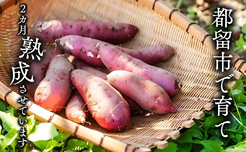 【先行予約】富士山の湧水で育った焼きいも　　やきいも いも お芋 サツマイモ さつまいも 紅はるか 